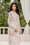 Off White Chiffon Suit