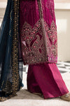 Magenta Chiffon Suit