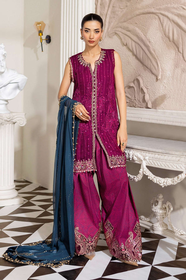 Magenta Chiffon Suit