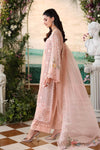Peach Pink