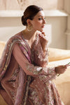 Tea Pink Chiffon Suit