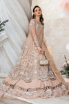 Skin Beige Saree