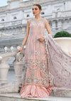 Pink Chiffon Suit