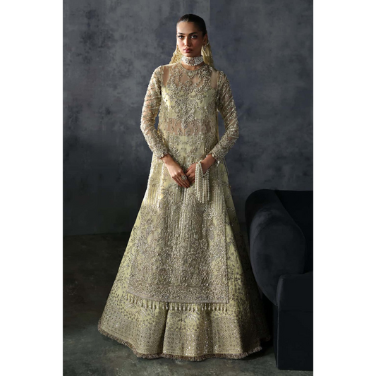 AFROZEH (BRIDES AFB-06)