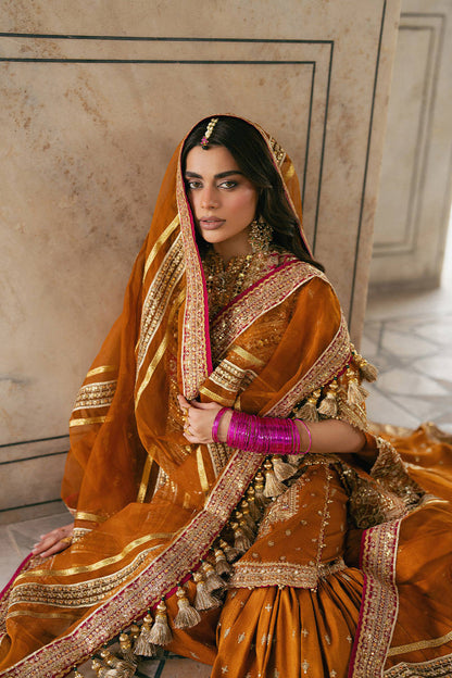 Ranjish - Mohsin Naveed Ranjha