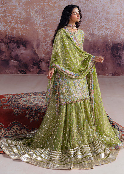 Sara Rohale Asghar - Shadan