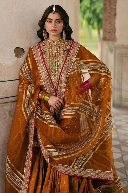 Ranjish - Mohsin Naveed Ranjha